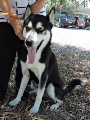 thumb 1 Janosch Photo 5 19th July 2020