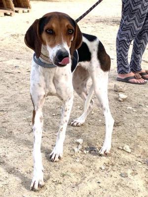 thumb 1 Paola Photo 4 2 Dec 2020