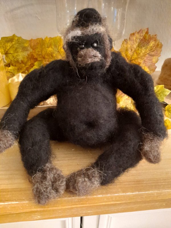 1 PHOTO 2020gorilla 11 22 21 27 28