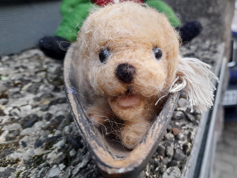 1 PHOTO 2020junge im boot 4 11 25 11 54 038