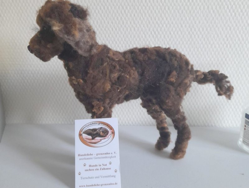 1 PHOTO hund1 2020 11 22 21 15 13