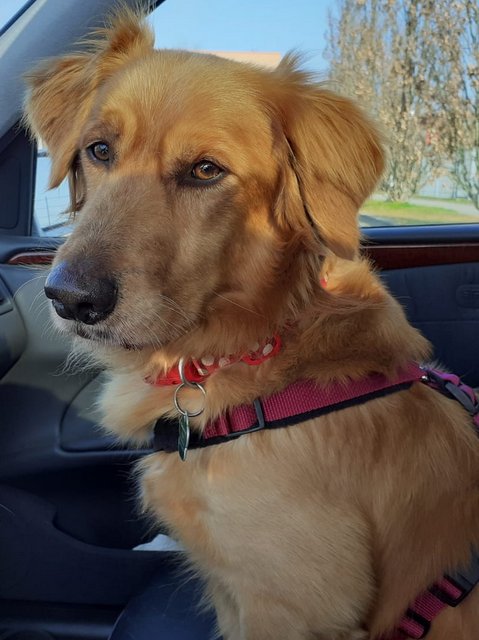 1 PHOTO 2020 03 28 10 42 18