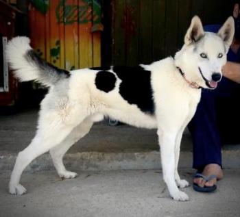 thumb PHOTO 2021 06 22 20 18 19