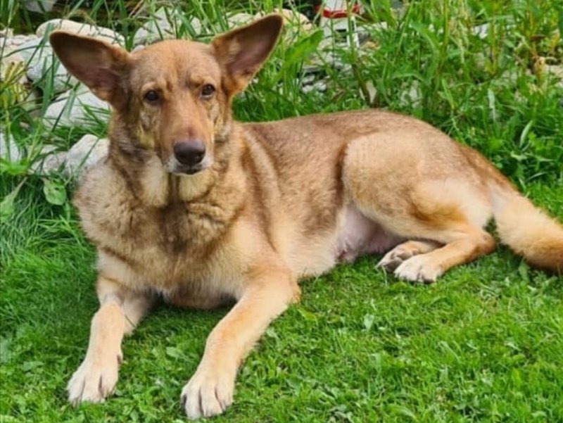 1 PHOTO2 2021 01 23 10 48 50