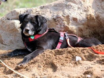 thumb 1 IMG 6979 Large