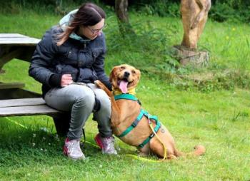 thumb IMG 2668 Large