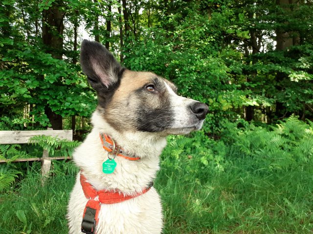 1 PHOTO2 2020 05 28 14 00 54