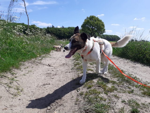 1 PHOTO5 2020 05 28 14 01 12