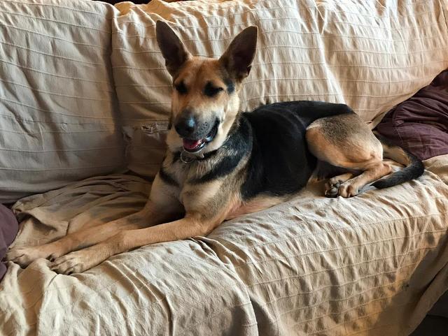 1 PHOTO 2020 03 31 19 25 21