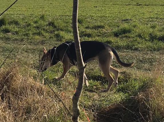 1 PHOTO1 2020 03 30 11 16 45