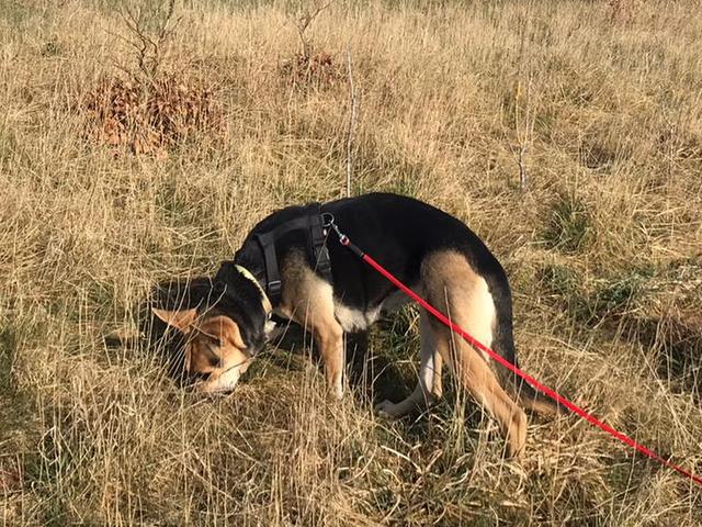 1 PHOTO4 2020 03 30 11 17 28