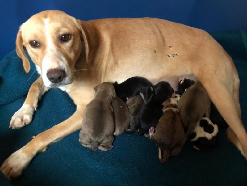 1 PHOTO 2021 02 28 18 20 11