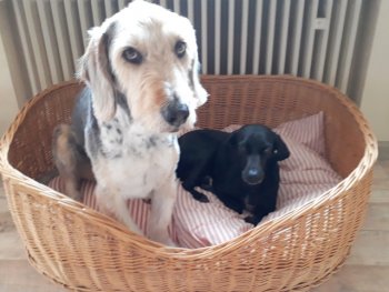 e22f6233dfeb6c88afc3933f656119e8