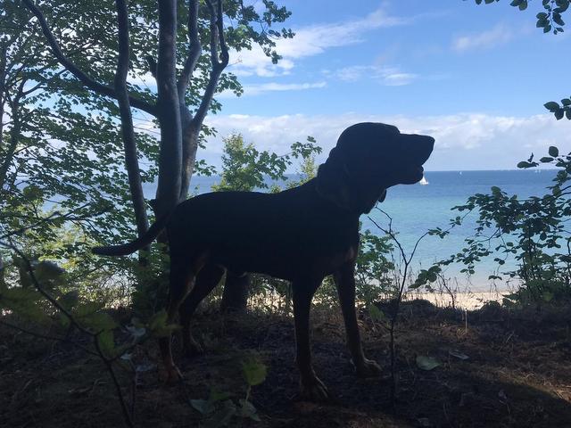 PHOTO3 2021 08 15 12 03 46