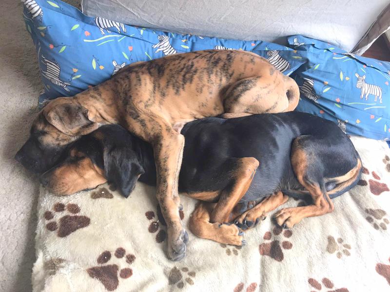 1 PHOTO 2021 05 11 11 38 49