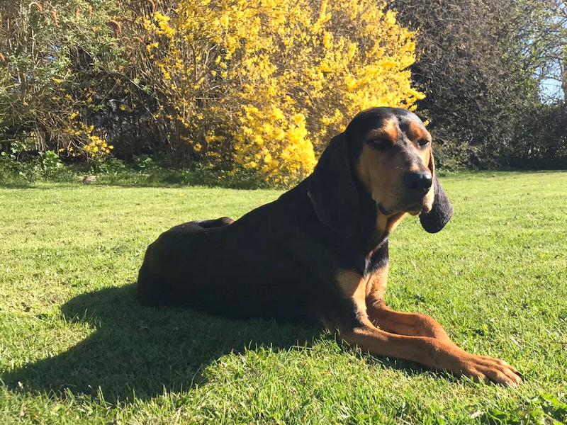 1 PHOTO 2021 04 25 19 16 45