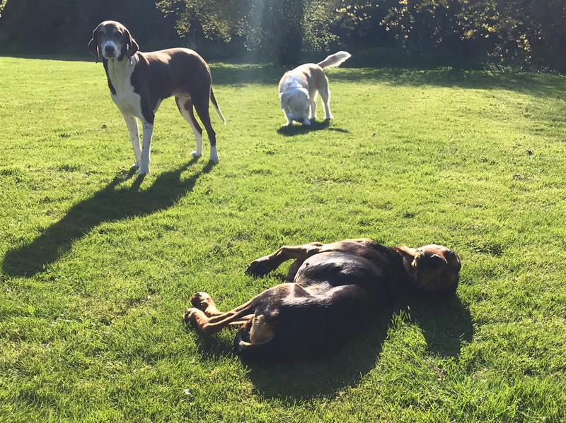 1 PHOTO 2021 04 26 17 27 08