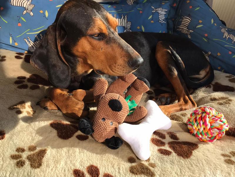 1 PHOTO 2021 04 26 17 27 12