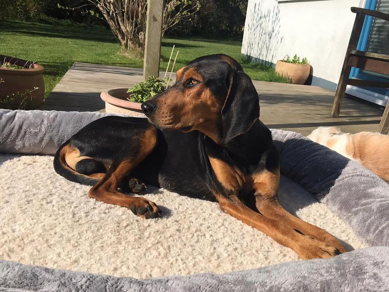 1 PHOTO 2021 04 27 07 44 07