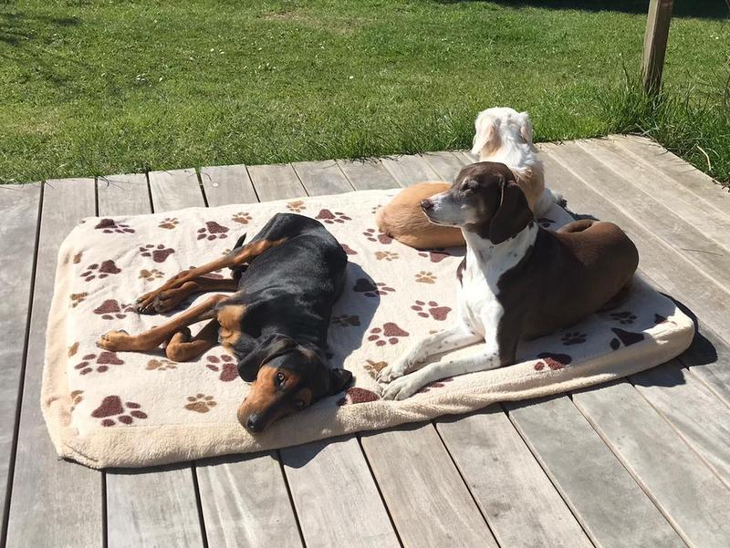 1 PHOTO 2021 04 27 15 35 57