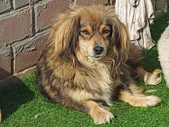 1 PHOTO 2021 06 15 22 07 002