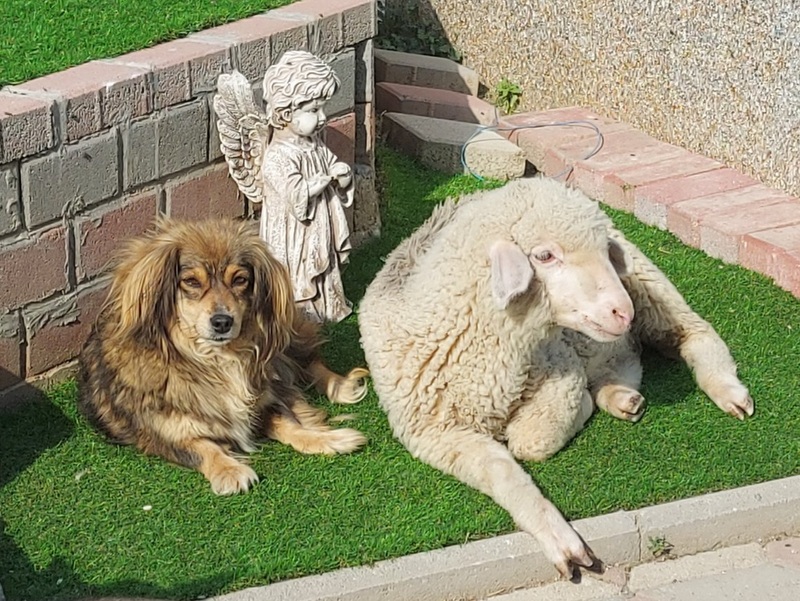 1 PHOTO 2021 06 15 22 07 01