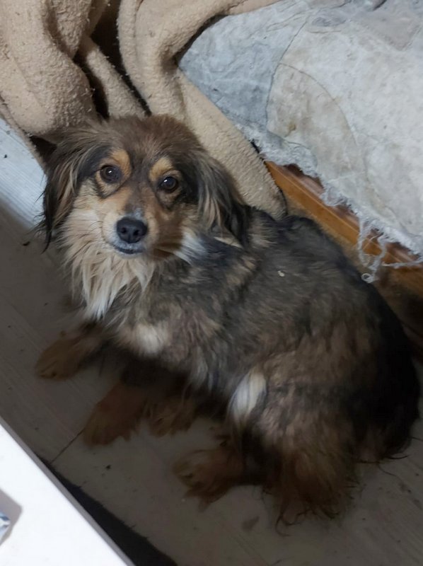 1 PHOTO 2021 06 17 22 35 043