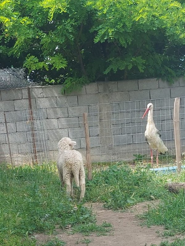 1 3PHOTO 2021 06 11 07 29 048