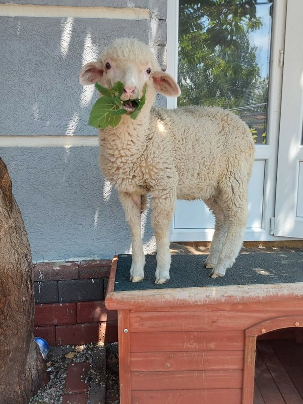 1 PHOTO 2021 06 11 07 29 44