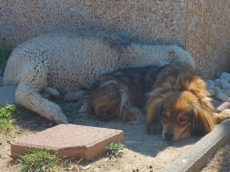 1 PHOTO 2021 06 11 07 29 47