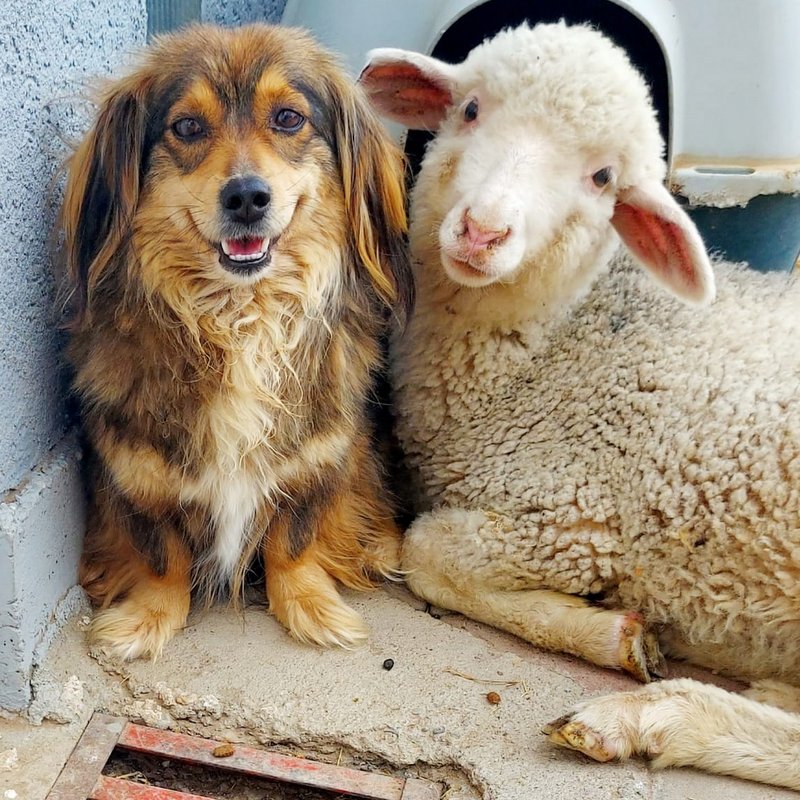 1 PHOTO 2021 06 11 07 38 060