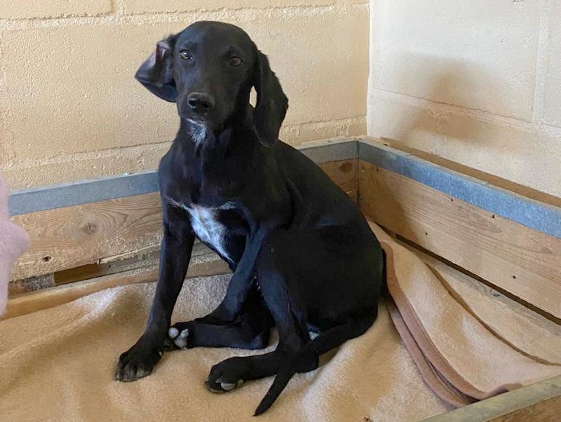 1 PHOTO 2021 03 29 11 27 38