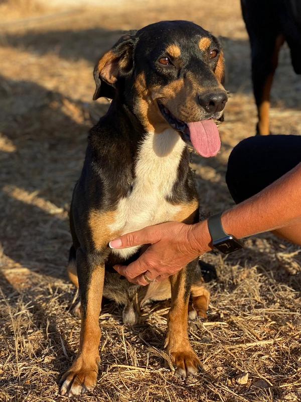 1 IMG 20210525 WA0278