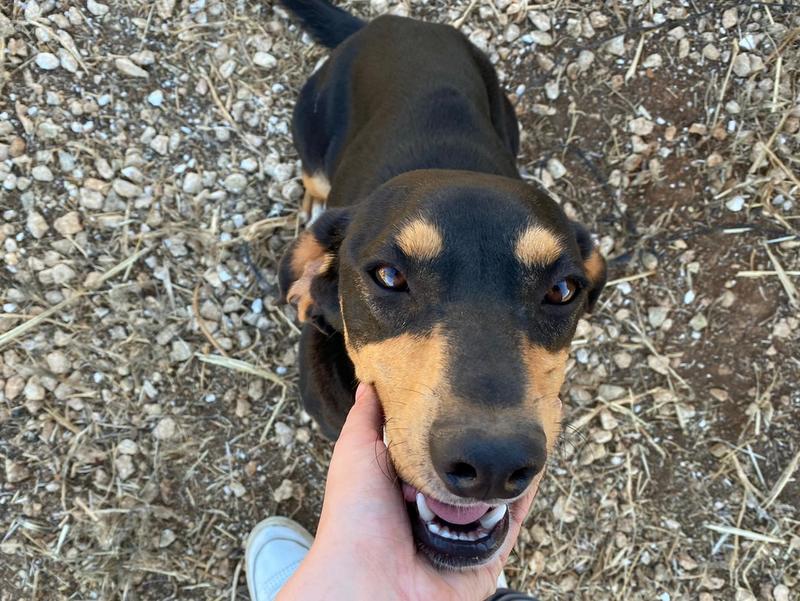 1 IMG 20210525 WA0282