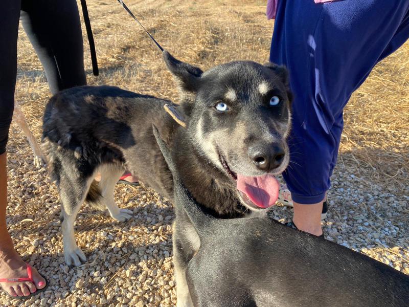 1 IMG 20210525 WA0290