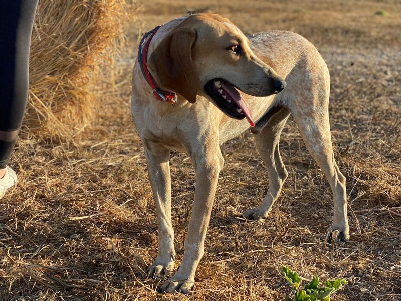 1 IMG 20210525 WA0301