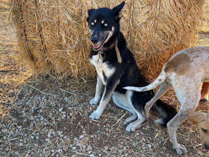 1 IMG 20210525 WA0308