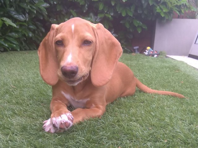 PHOTO 2021 07 11 16 17 18