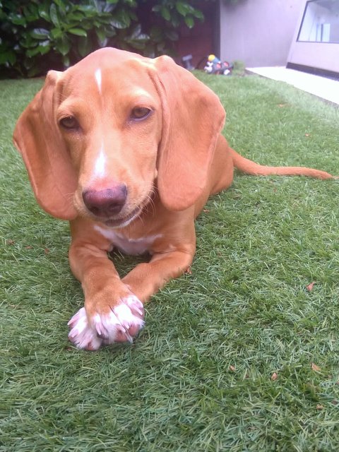 PHOTO2 2021 07 11 16 17 019