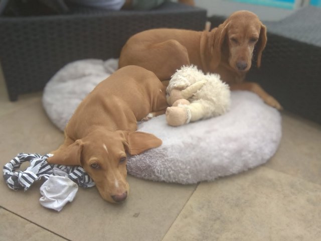 PHOTO8 2021 07 11 16 17 19