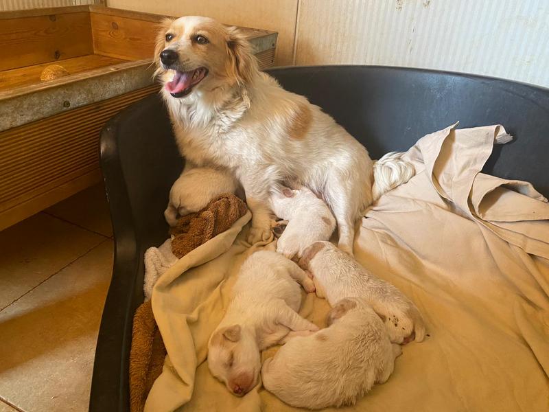 1 PHOTO 2021 06 03 14 38 16