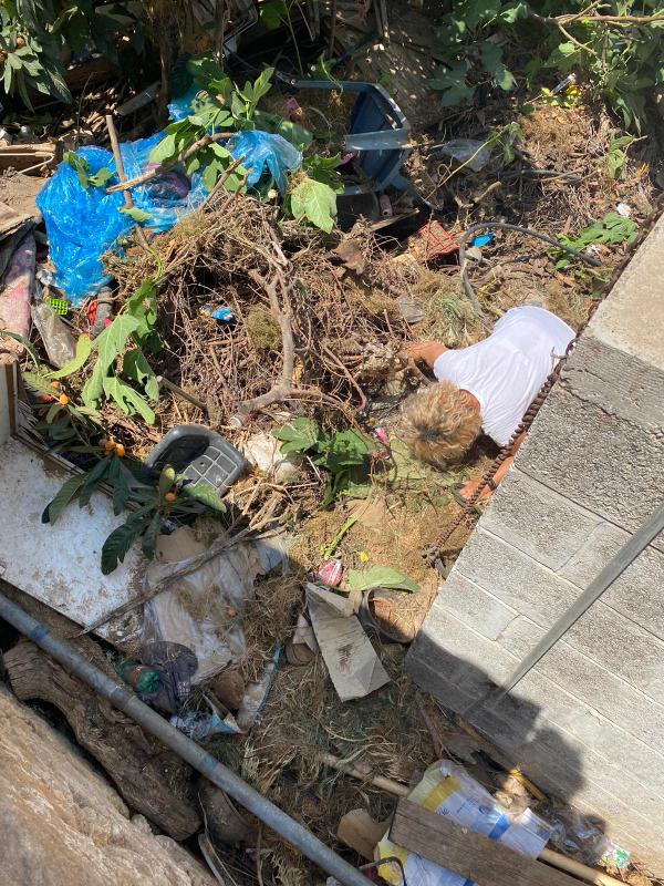 1 PHOTO 2021 06 03 19 07 53