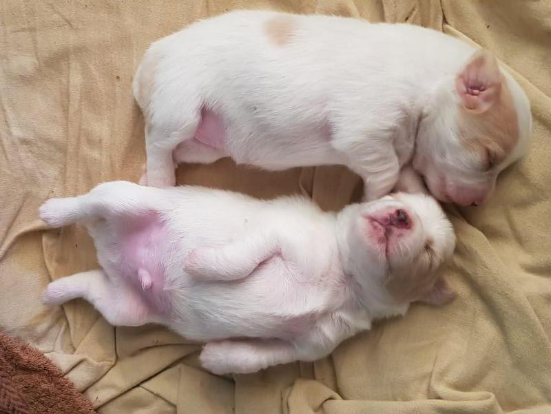 1 PHOTO 2021 07 05 00 16 54