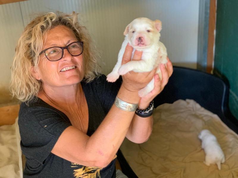 1 PHOTO 2021 07 05 00 17 12