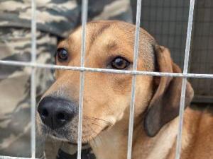 1 thumb IMG 20210128 WA0137