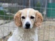 1 thumb IMG 20210120 194439