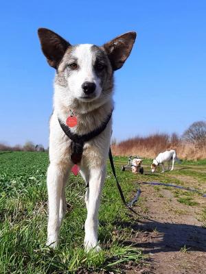 thumb 1 20210331 111823b Groß