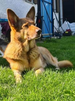 thumb 1 PHOTO7 2021 01 23 10 48 51