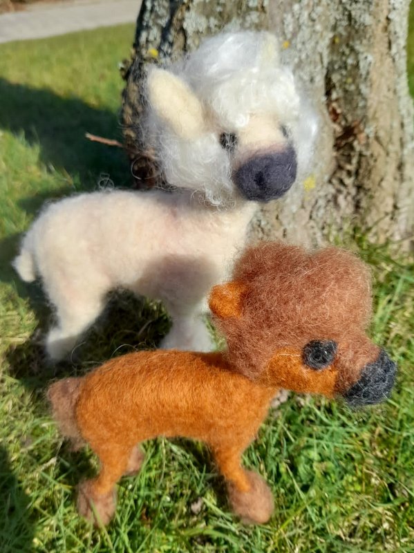 1 PHOTO 2021 03 09 11 54 35