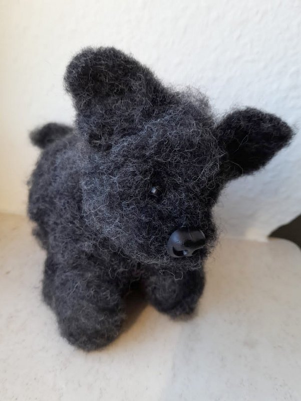 1 PHOTO 2021 03 09 11 54 10